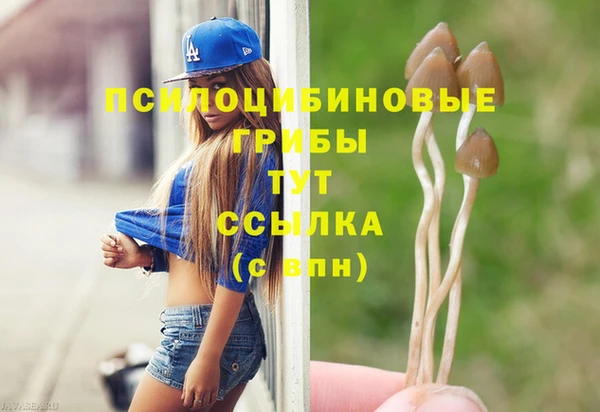 мет Баксан